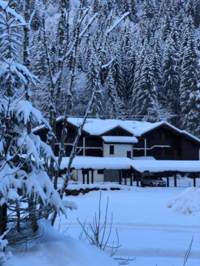 Apartement Morzine Avoriaz